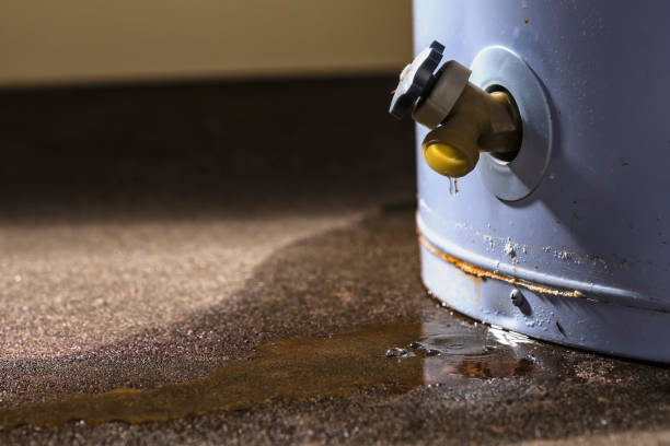 Best Basement water damage restoration  in Crisfield, MD