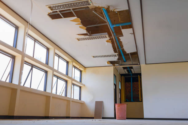 Best Emergency water damage restoration  in Crisfield, MD