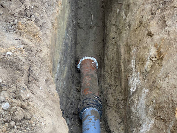 Best 24/7 water damage repair  in Crisfield, MD