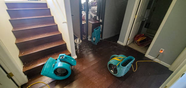Best Emergency water extraction  in Crisfield, MD
