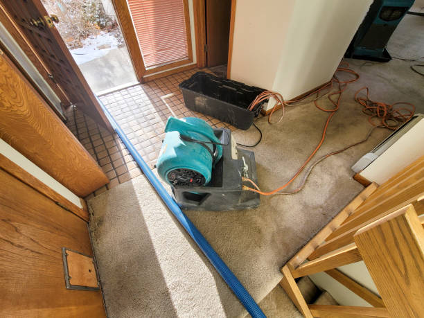 Best Residential water damage restoration  in Crisfield, MD