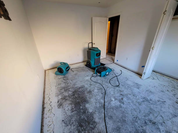 Best Professional water damage repair  in Crisfield, MD