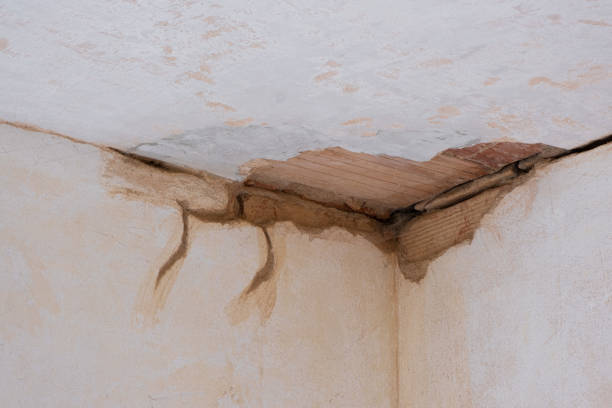 Crisfield, MD Water damage restoration Company