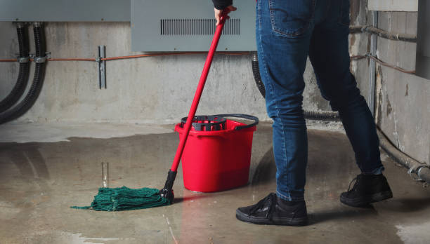  Crisfield, MD Water damage restoration Pros