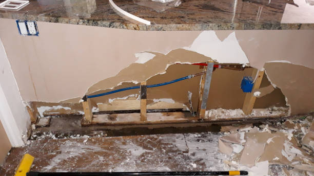 Best Mold removal after water damage  in Crisfield, MD