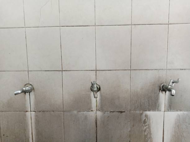 Best Water damage cleanup near me  in Crisfield, MD