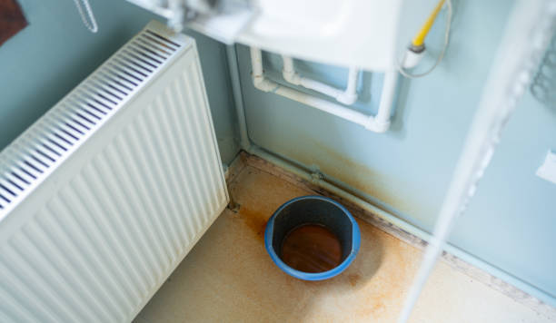 Best Water damage restoration near me  in Crisfield, MD