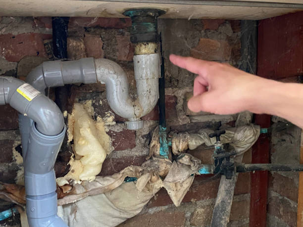  Crisfield, MD Water damage restoration Pros