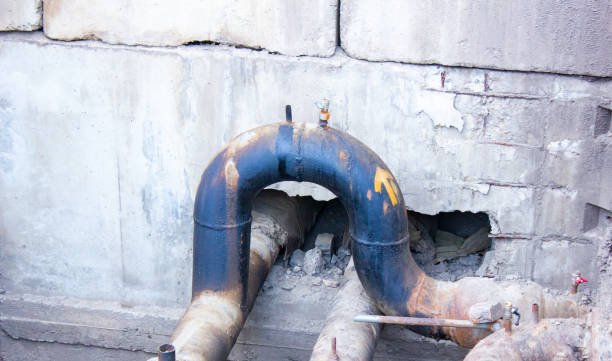 Best Water damage restoration near me  in Crisfield, MD